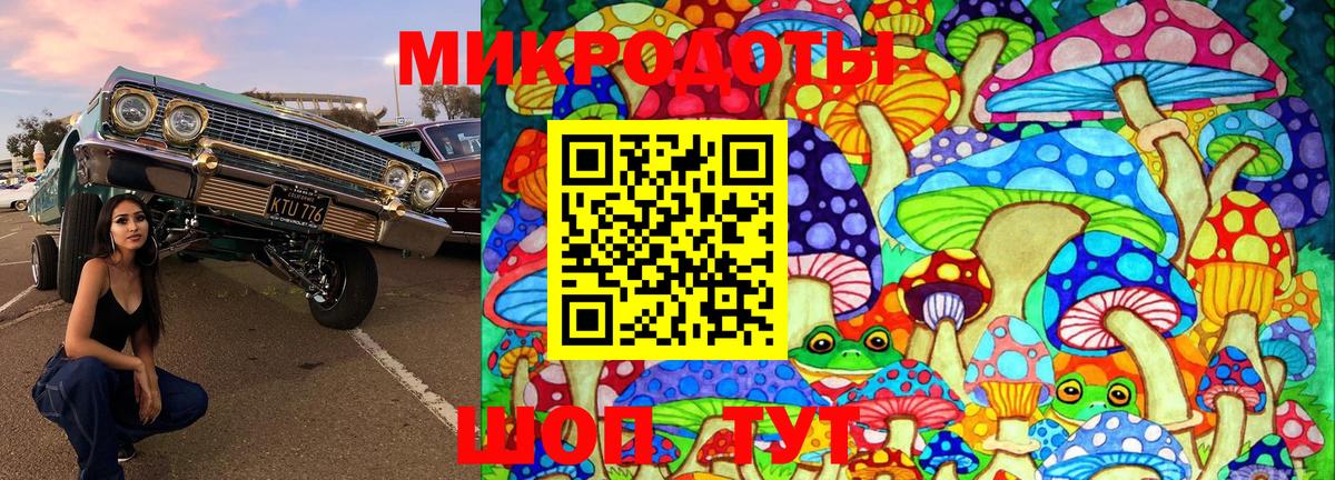 Псилоцибиновые грибы Magic Shrooms Богородицк