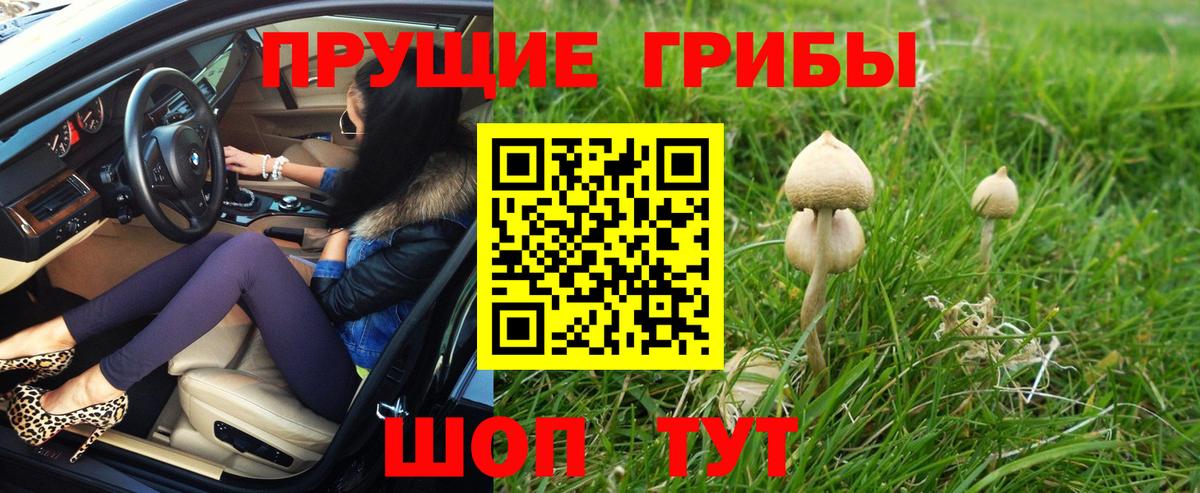 Псилоцибиновые грибы мухоморы  Вход с VPN  Богородицк 